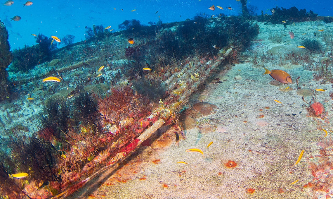 undersea fibre optic cables